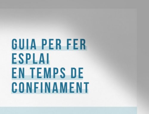 Guia per fer esplai en temps de confinament