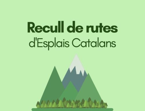 Nou Recull de rutes d’Esplais Catalans!