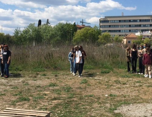 Domingueo formatiu del Sector Vallès Occidental: parlem de l’ideari