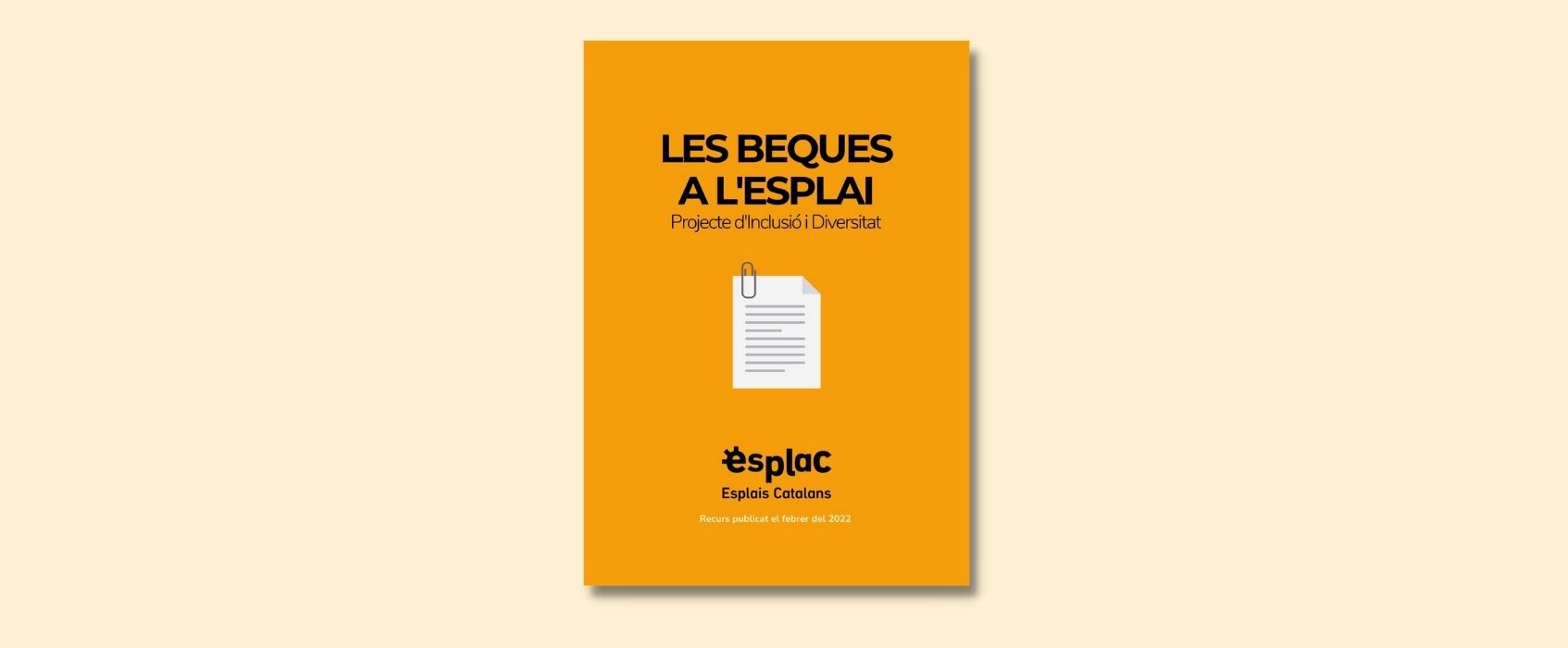 recurs sobre les beques a l'esplai