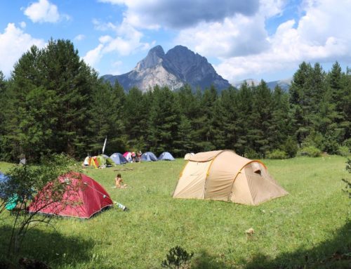 L’estiu dels esplais: campaments, colònies i rutes per avançar cap a una educació en valors i comunitària