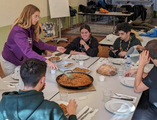 El Sector Vallès Oriental s’acomiada de l’any amb el Domingueo Formatiu