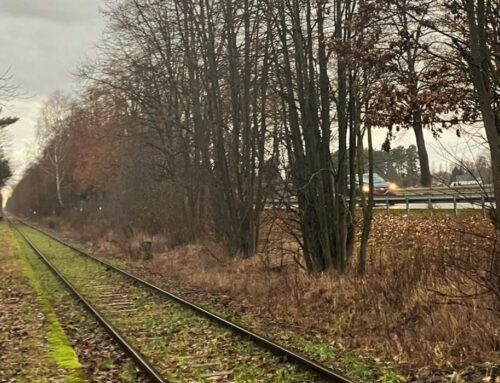 Winter School 2023: “Destaquem l’horitzontalitat en el tracte de formadors i ponents”.