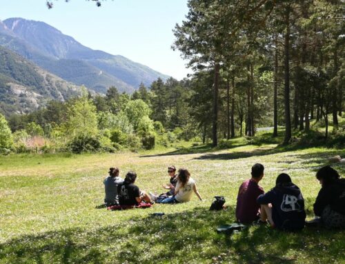 Ja podeu veure els vídeos i les fotografies dels Campaments Pedagògics 2024!
