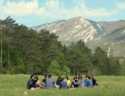 Els Campaments Pedagògics 2024, un espai de creació de línies de treball entorn dels límits i l’autogesitó a l’esplai