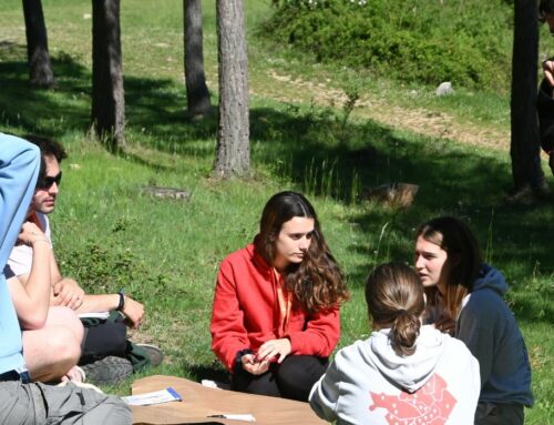 Tot a punt perquè pugueu apuntar-vos als cursos d’estiu!