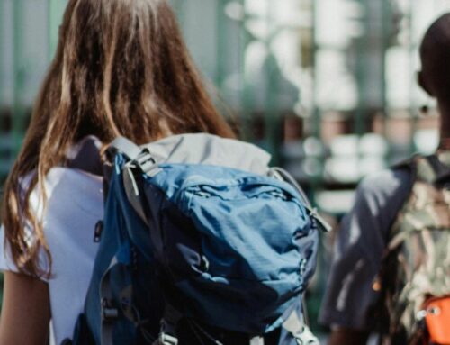 T’agradaria viure un any a Brussel·les? L’IFM publica una oferta de voluntariat europeu
