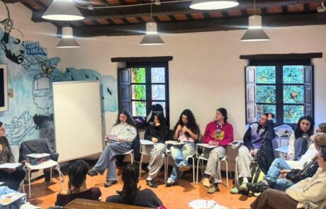 monis rebent una formació