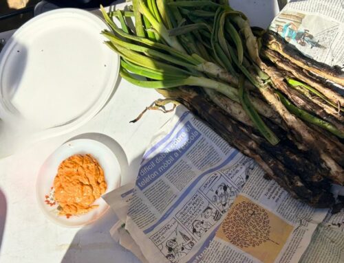 La calçotada formativa del sector ROM combina anticapitalisme i calçots!