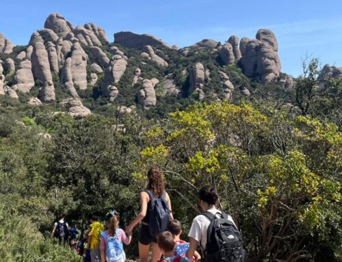 El sector Baix Besòs trepitja fort amb motiu de la TJ-TGS