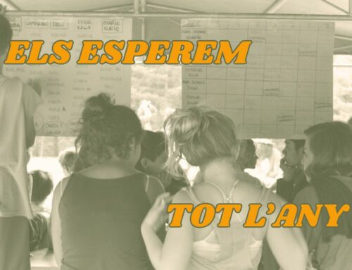 Tanquem l’estiu amb més de 200 activitats de lleure educatiu organitzades arreu del territori